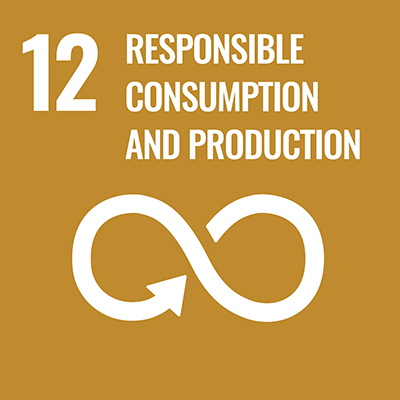 Qingdao LingCheng Co., Ltd. Environmental Sustainability 12 Responsible consumption and production