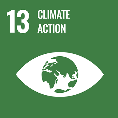 Qingdao LingCheng Co., Ltd. Environmental Sustainability 13 Climate action