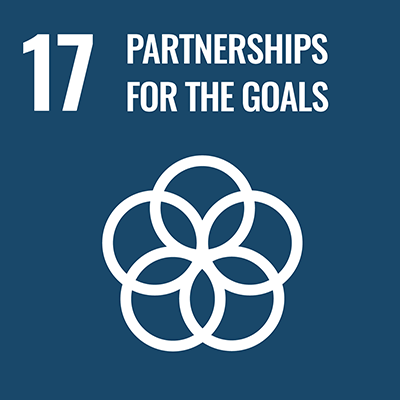 Qingdao LingCheng Co., Ltd. Environmental Sustainability 17 Partnerships for the goals